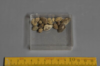 F 01733
<br/>
<br/>
<em></em>